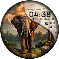 Cool Wild Animals Watch Face