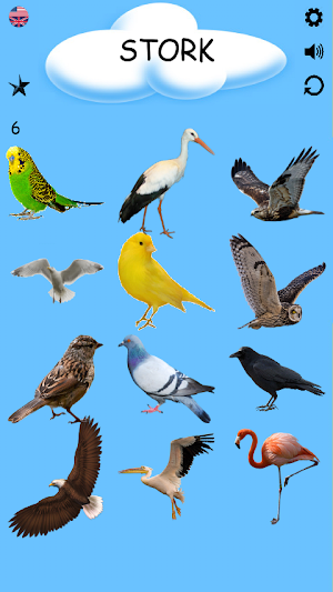 Birds - Learning Birds Screenshot 2