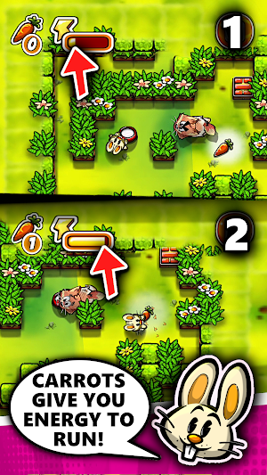 Funny Bunny Maze Screenshot 2