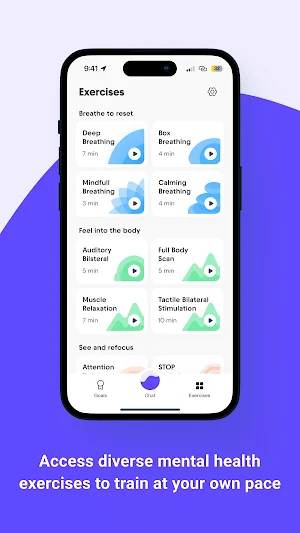 CP-101 Screenshot 1