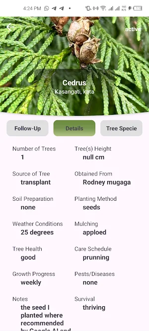 Life Forestry Screenshot 3