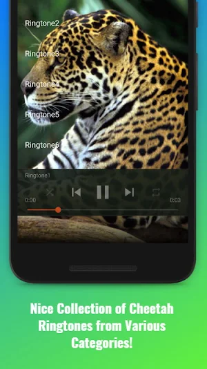 Cheetah Sounds Screenshot 1