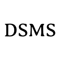 DSMS Digital Shop: SaaS, eBook