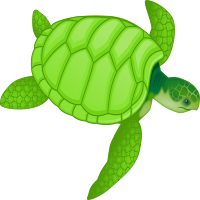 Origin of species