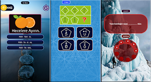 Bilsem Hafıza Screenshot 3