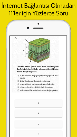 11. Sınıflar Tüm Dersler İnternetsiz Screenshot 1