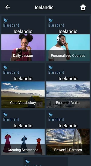 Learn Icelandic. Speak Icelandic. Study Icelandic. Screenshot 0
