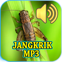 Suara Jangkrik Mp3 Offline