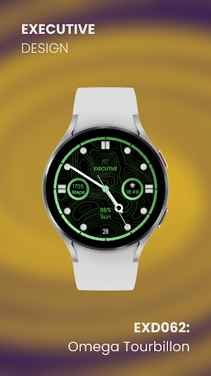 EXD062: Omega Tourbillon Face Screenshot 3