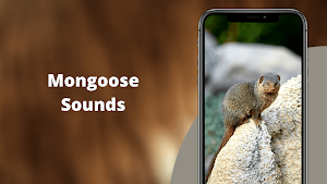 Mongoose Sounds Screenshot 0