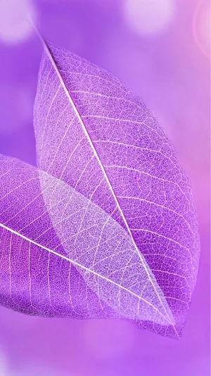 Purple Wallpapers Screenshot 3
