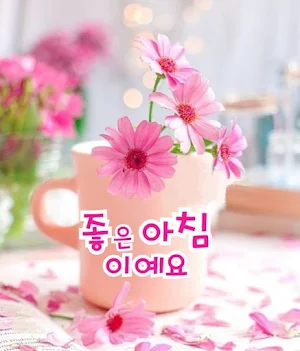 카드 좋은 아침 Screenshot 0