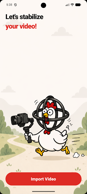 Gyro Chicken Video Stabilizer Screenshot 1