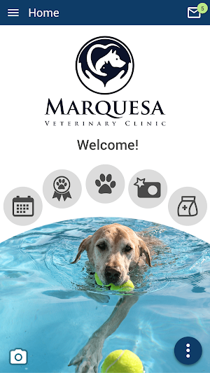 Marquesa Vet Clinic Screenshot 0