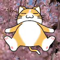 ひまざくら