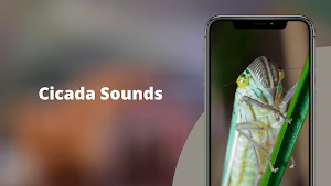 Cicada Sounds Screenshot 1