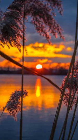 Sunset Wallpaper Screenshot 2