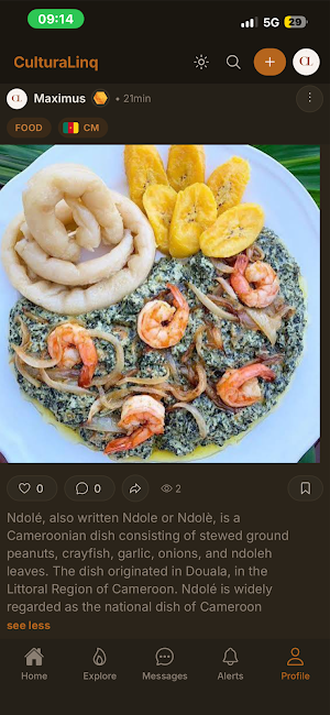 CulturaLinq Screenshot 0