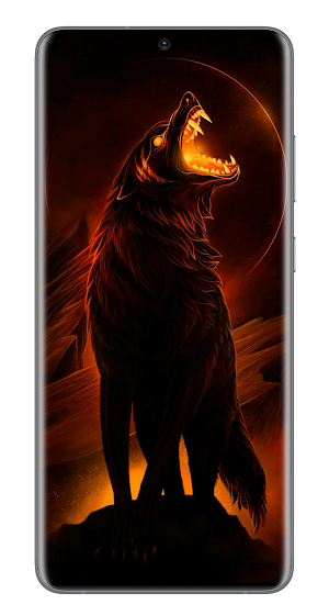 Wallpapers and Backgrounds Screenshot 3