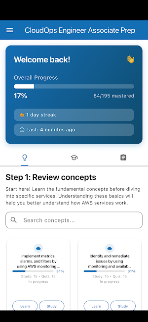 SOA-C03 Screenshot 0