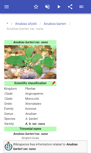 Aquarium plants Screenshot 3