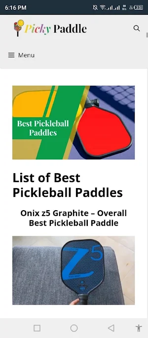 Picky Paddle Screenshot 3