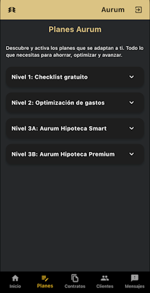 Aurum Screenshot 2