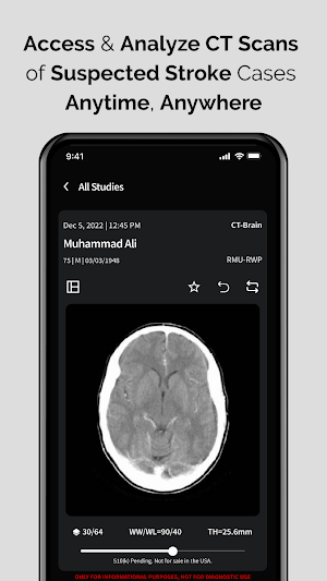 NeuroICH Screenshot 1