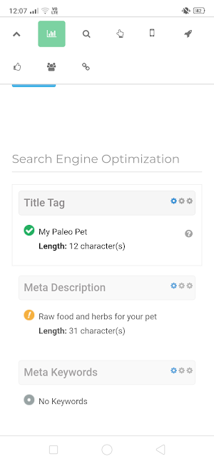 SEO Auditor Screenshot 1