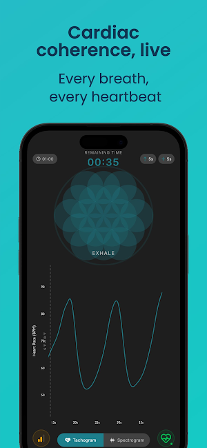 InnerSync Pro Screenshot 2