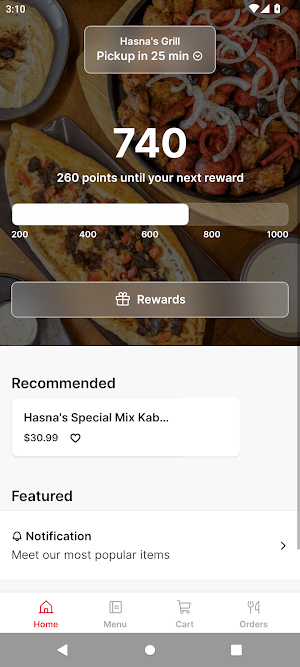 Hasna's Grill Screenshot 0