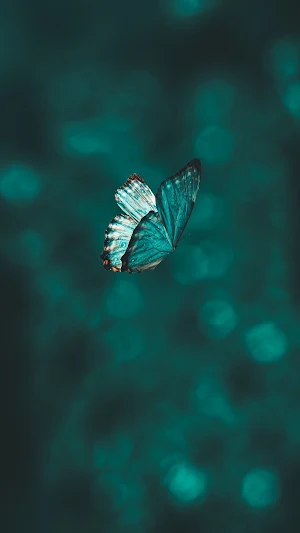 Butterfly Wallpaper Screenshot 1
