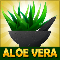 Aloe Vera Benefits : Aloe Vera Uses