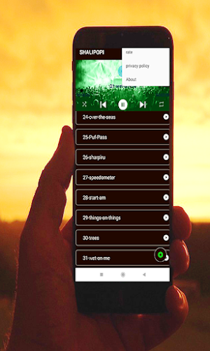 shallipopi-all-songs Screenshot 2