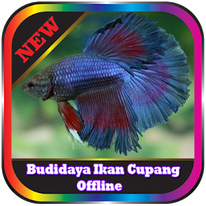 Budidaya Ikan Cupang Lengkap Screenshot 3