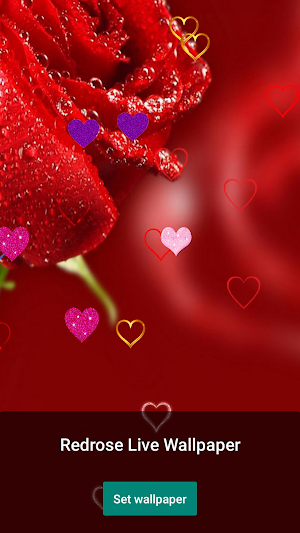 Red Rose 3d Live Wallpaper Screenshot 1