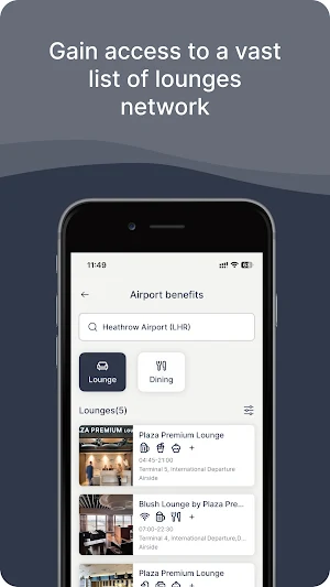Investec InTransit Screenshot 1