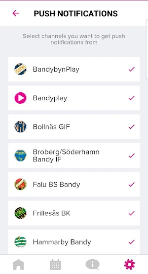 Bandyplay Screenshot 2