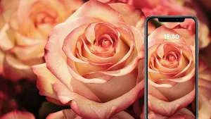 Flower Wallpapers Screenshot 2