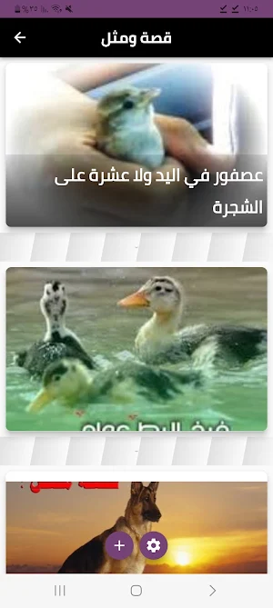 قصة ومثل Screenshot 0