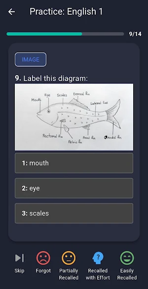 FlashCard Screenshot 3