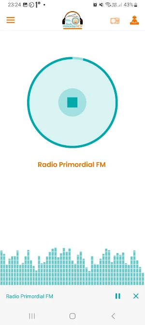 Radio Primordial FM Screenshot 1