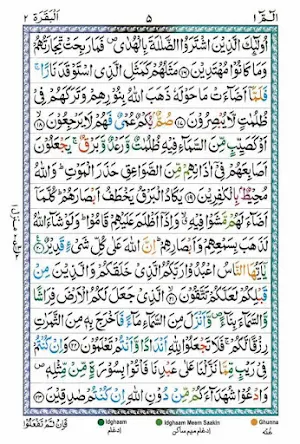 Al Quran Hafizi Tajweedi Screenshot 3