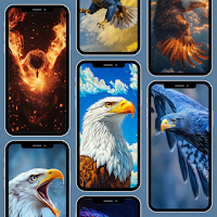 Eagles Aesthetic Wallpaper 4K