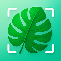 Tree and Plant Identifier