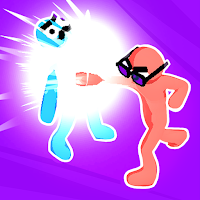 Kungfu Ragdoll