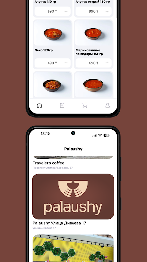 Palaushy Screenshot 2