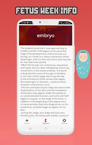 Pregnancy App: Fetus Growth Screenshot 3