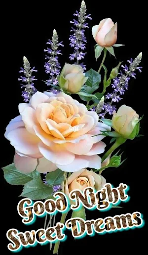 Good night Images Screenshot 1
