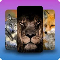 Wild animal wallpapers 4K